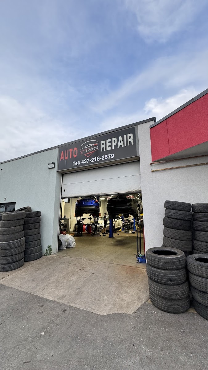 S Force Auto Repair shop front in Etobicoke